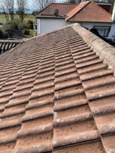 roof 3